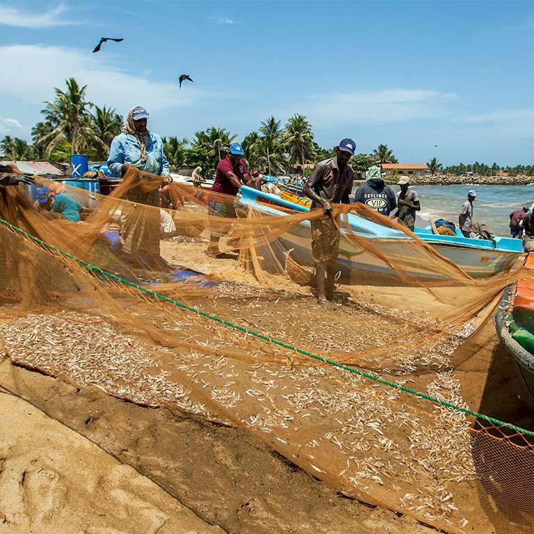 Day 01 | Arrival to Negombo