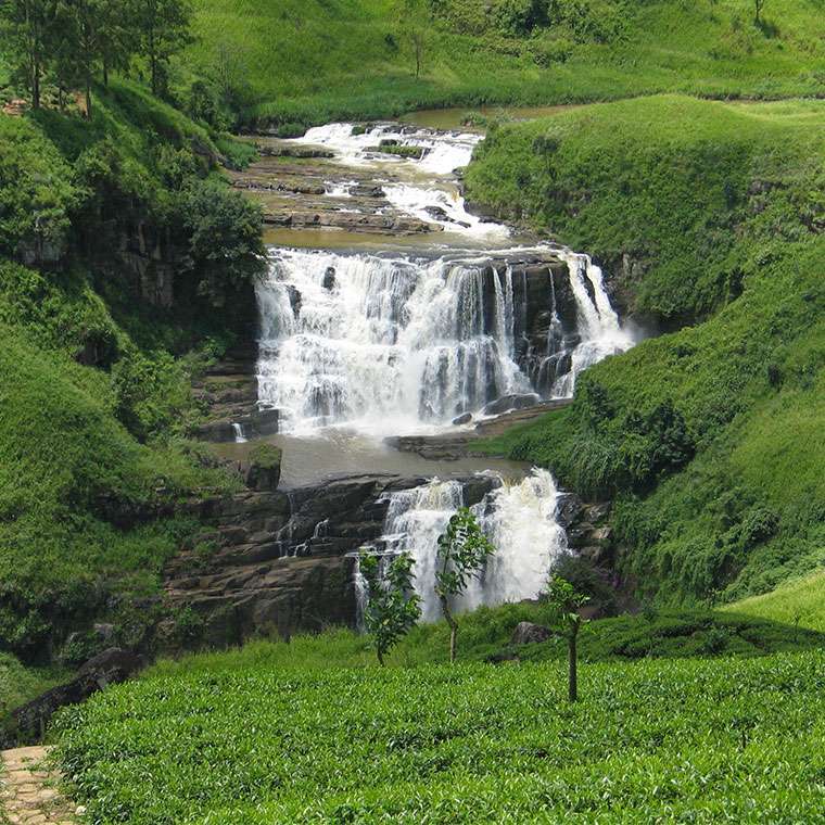Day 05 | Kandy – Peradeniya – Nuwara Eliya  (Distance – 75 KM, Travel Time – 02 Hours & 30 Mins , Sightseeing – 02 Hours)