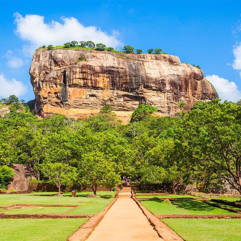 Day 05 | Thirappane – Sigiriya – Madulkelle (Distance – 155Km, Travel Time – 04 Hours,  Sightseeing – 02 hours)