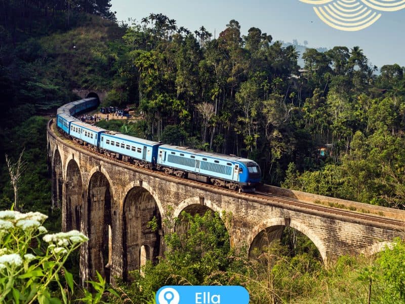 Sri Lanka tours | Travel agency